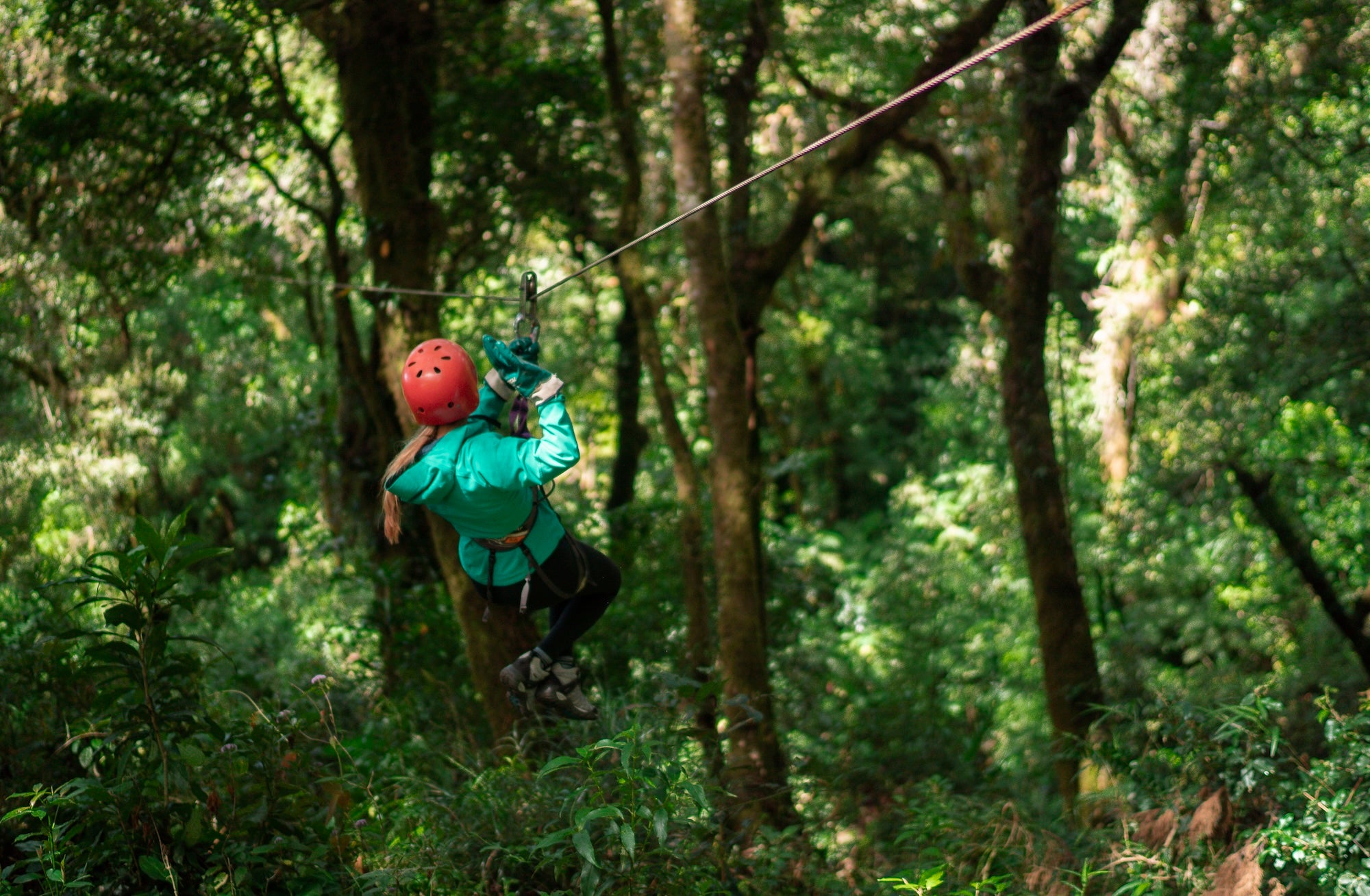 Britt Coffee and Adventure Tour | Experience Costa Rica's Coffee